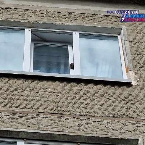 18 июля в 9:22 начальнику дежурного подразделения поисково-спасательного отряда г. Южно-Сахалинска поступила информация о застрявшей в окне кошке по ул. Поповича